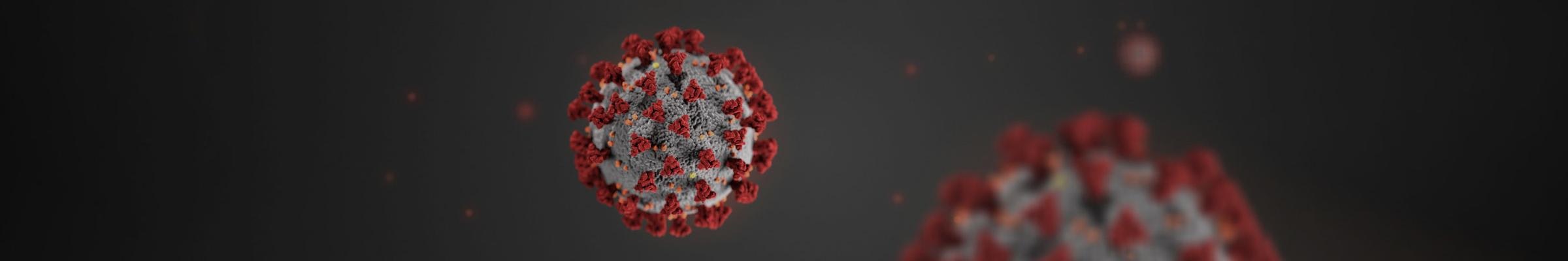 CEO Message - BeyondTrust & Coronavirus