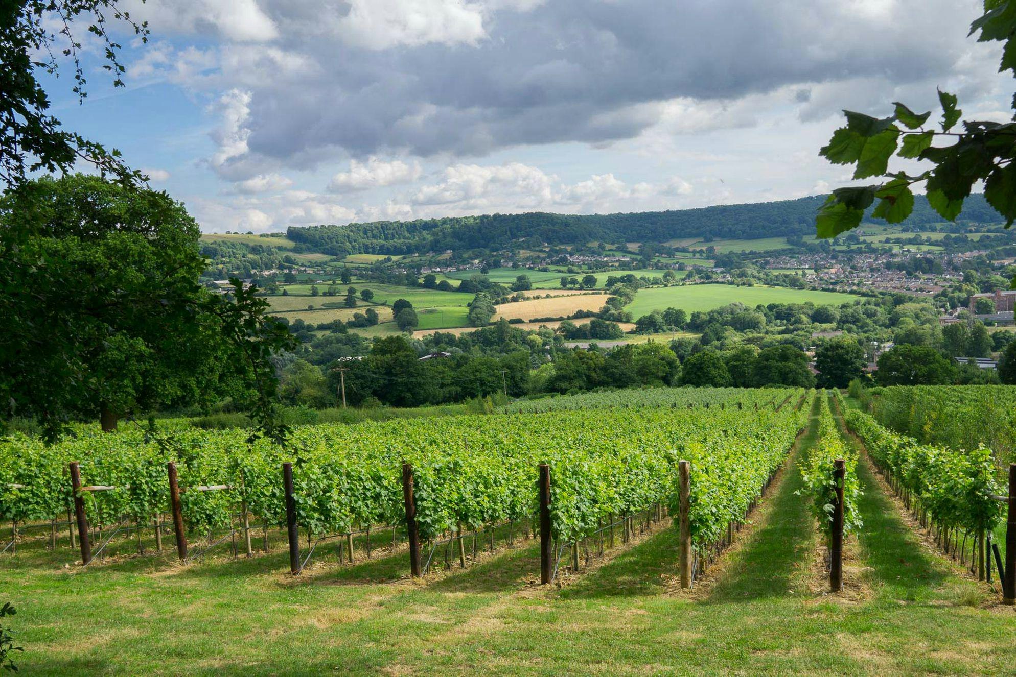 Highlights & Takeaways from BeyondTrust’s Customer Advisory Board Meeting in Napa Valley