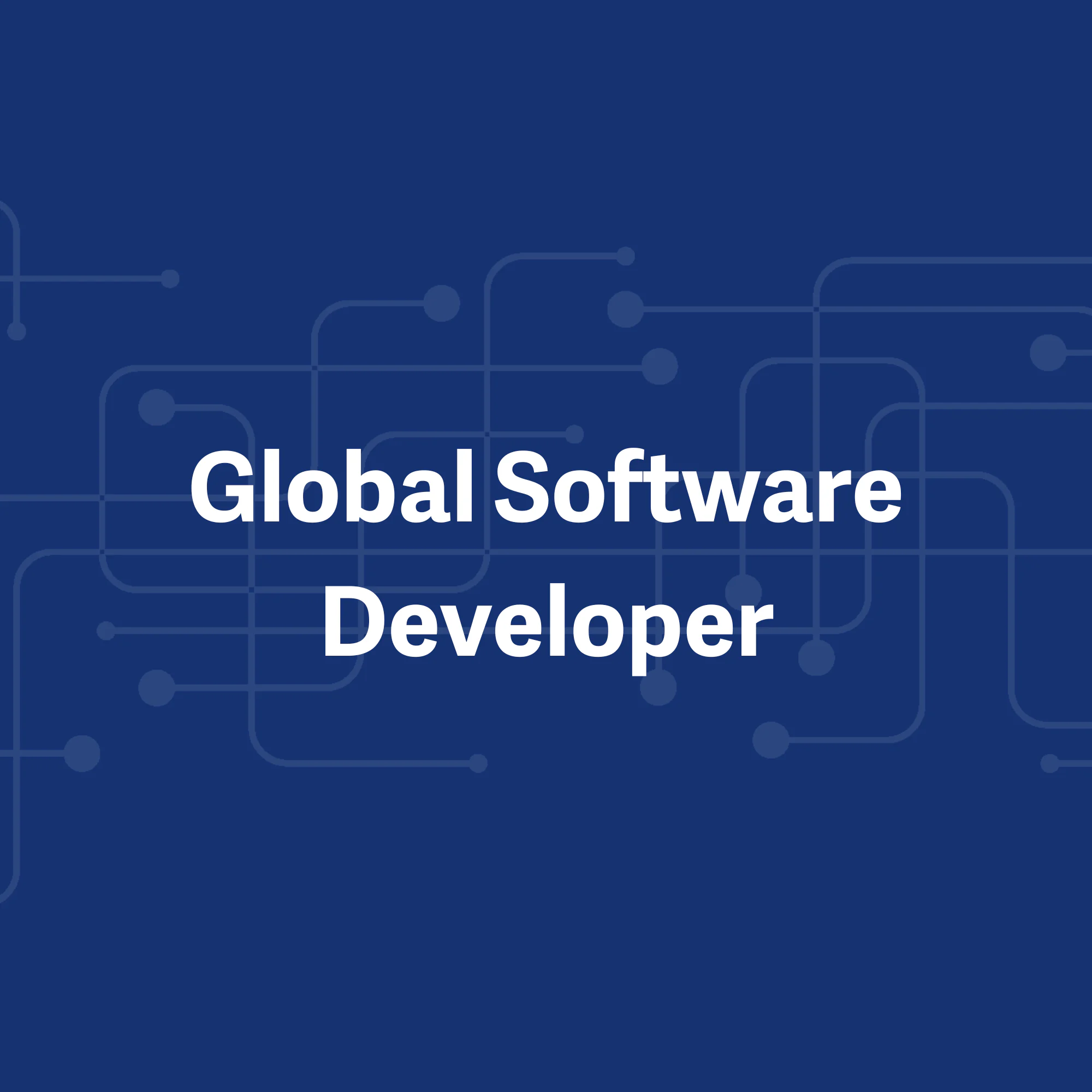 Case Study: Global Software Developer