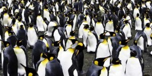 Cyberpunk CTF Special: Attacking and Defending a Linux System Episode 6: Wintermute