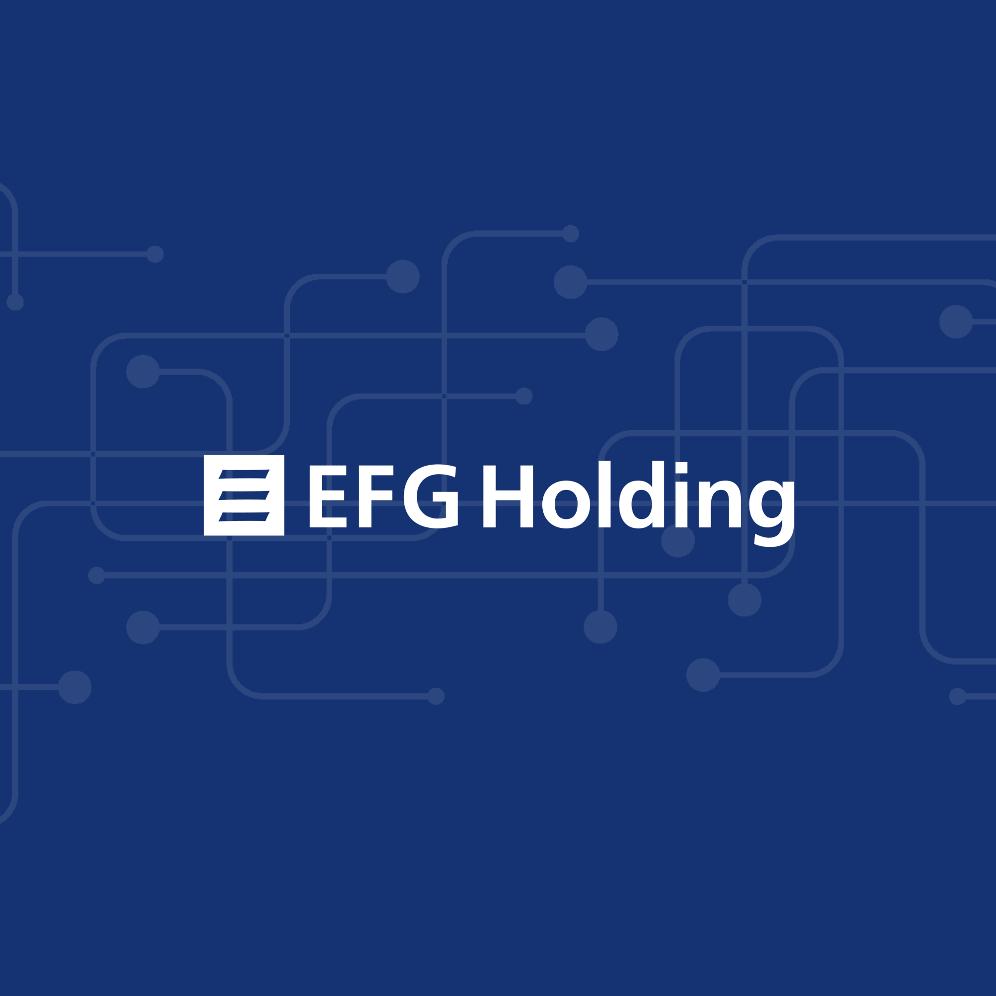 EFG Holding Banner Right